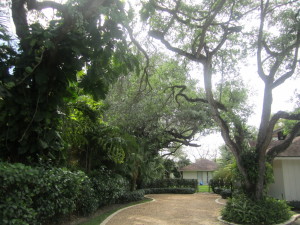 Outdoor
