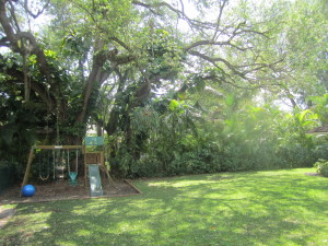 Yard