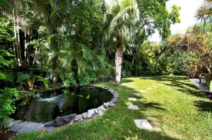 pond resized