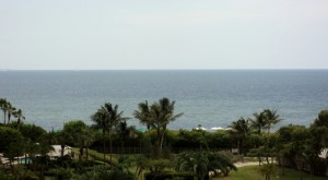 DSC02212