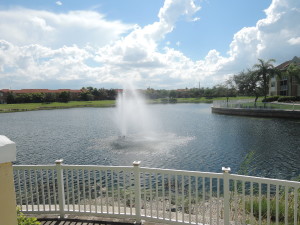DSCN0963