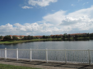 DSCN0985