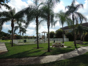 DSCN0998