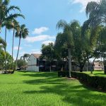 Back porch view - 4229 SW 70th Ter Davie, FL